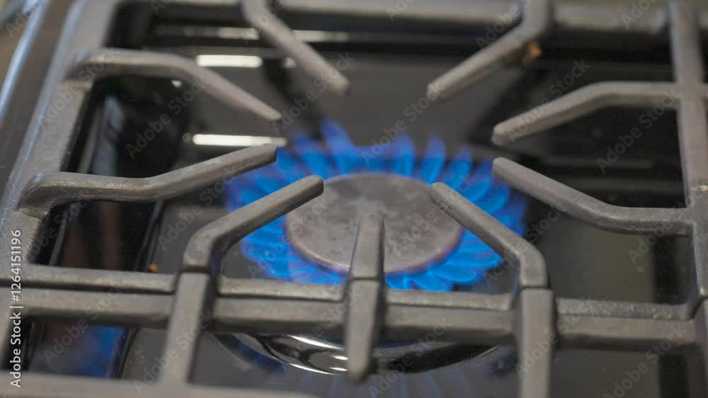 Vibrant blue flames on a stovetop burner. Vibrant blue flames on a stovetop burner.