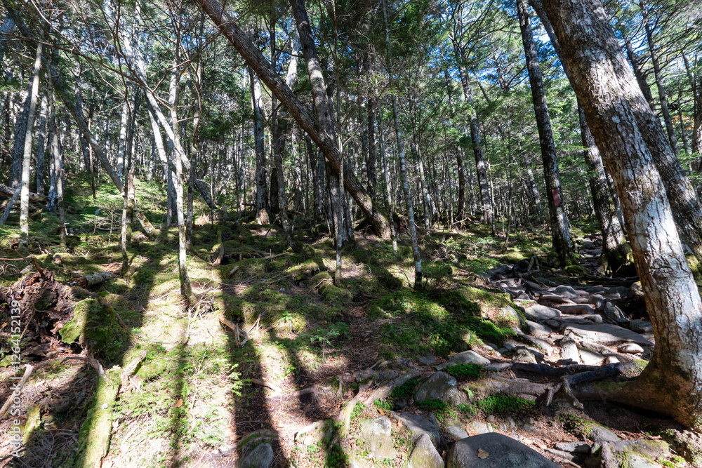 Obraz premium Mt. Mizugaki, Takamiiwa and surrounding views