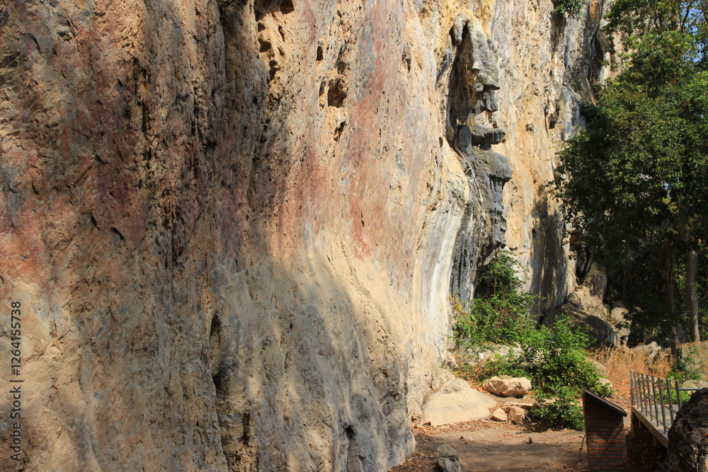 A forest path with rocks and many large trees. A forest path with rocks and many large trees.