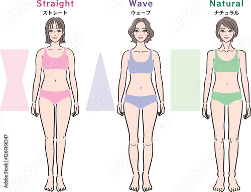 骨格診断　3タイプ