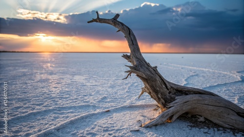 Exploring the Textured Beauty of Saltpan Reflections: A High-Fashion Nature Photography Series