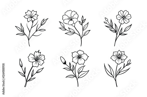 Flax Flower (Linum spp.) line art vector illustration