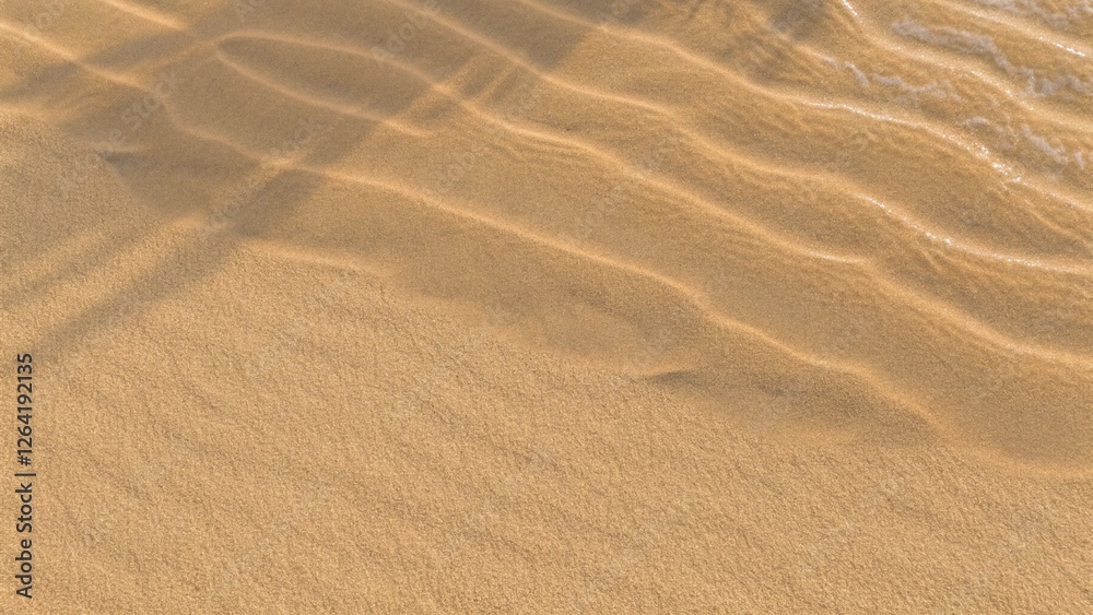 Top view of desert dunes or tropical seashore landscape. Wavy sand surface illustration. Realistic coastal beach texture. Summer background of natural sandy seaside shore. Beach background Top view of desert dunes or tropical seashore landscape. Wavy sand surface illustration. Realistic coastal beach texture. Summer background of natural sandy seaside shore. Beach background