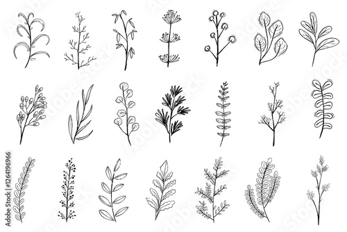 Collection of hand-drawn botanical sketches. These botanical illustrations feature various plant designs. Perfect for botanical-themed projects and nature lovers. Cute leaf illustrations, vector set.