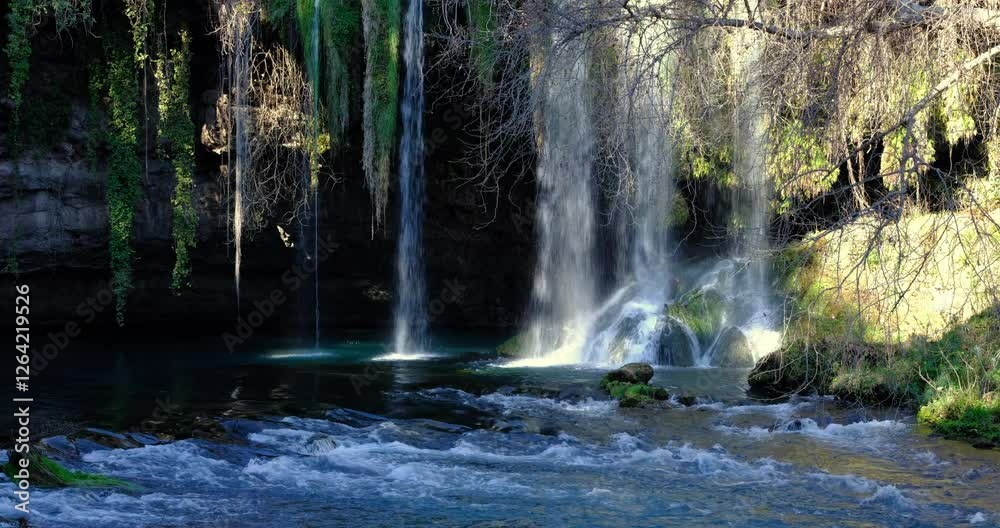 waterfall in the park
