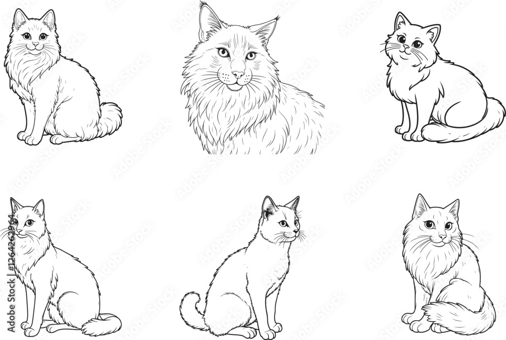 Obraz premium Curious Kitty