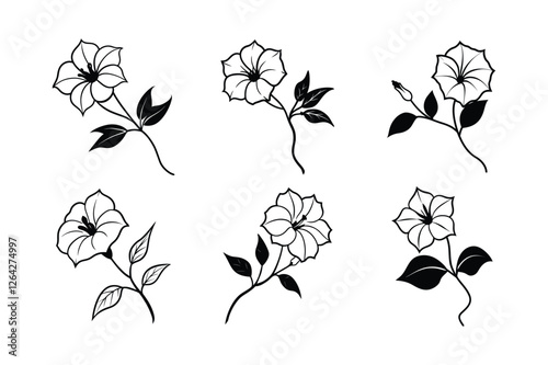 Four O’Clock (Mirabilis jalapa) line art vector illustraion