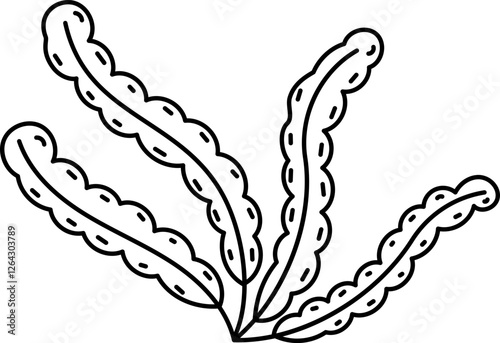 Seaweed Outline Illustration