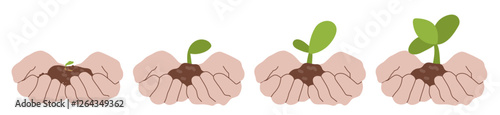 Caring for nature. Scheme from sprout to adult plant. Green leaf, nature or agriculture icons vector illustration.