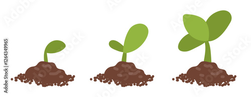 Plant growing phases vector illustration. Green leaf, nature or agriculture icons. Realistic sprout, growth symbol