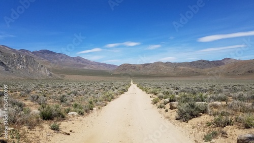 Long Straight Dirt Road in Death Valley National Park, California 