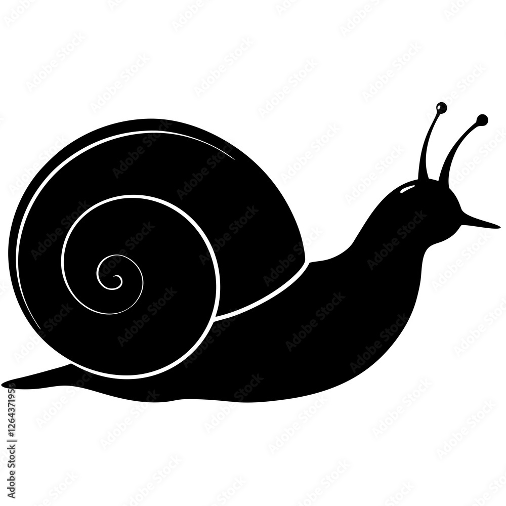 Cute Silhouette Snail Line Art Black Vector Carton Illustration Cute Silhouette Snail Line Art Black Vector Carton Illustration
