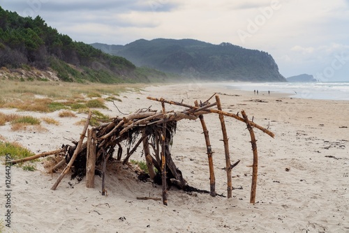 A makeshift shelter built from driftwood on a beach. Nature's artistry. People walking along the shore. Opoutere, Whangamata, Coromandel Peninsula, New Zealand