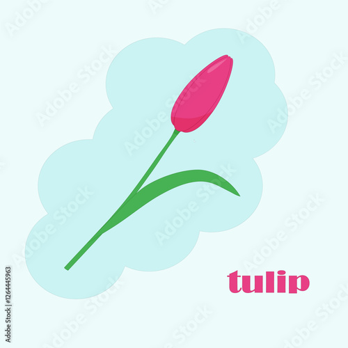 pink tulip that bloomed in spring. Vector illustration