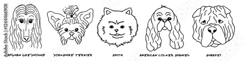 Doodle heads of different breeds dogs set. Afgan greyhound, yorkshire terrier, spitz, cocker spaniel, sharpei