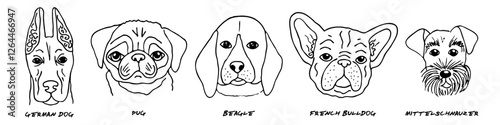 Doodle heads of different breeds dogs set. Dog, pug, beagle, bulldog, mittelschnauzer
