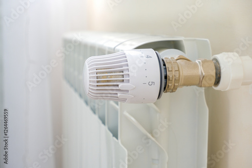 The heat regulator on the radiator of the house.
