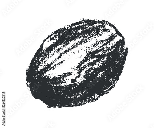 Hand drawn nutmeg illustration, bakery spice symbol, nutmeg seed sign. Cahrcoal sketch, natural flavoring doodle, organic flavouring drawings. Fragrant nutmeg drawing for label, banner design.