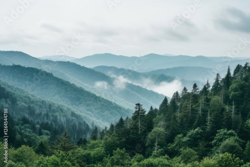 Great Smoky Mountains mountain outdoors nature.