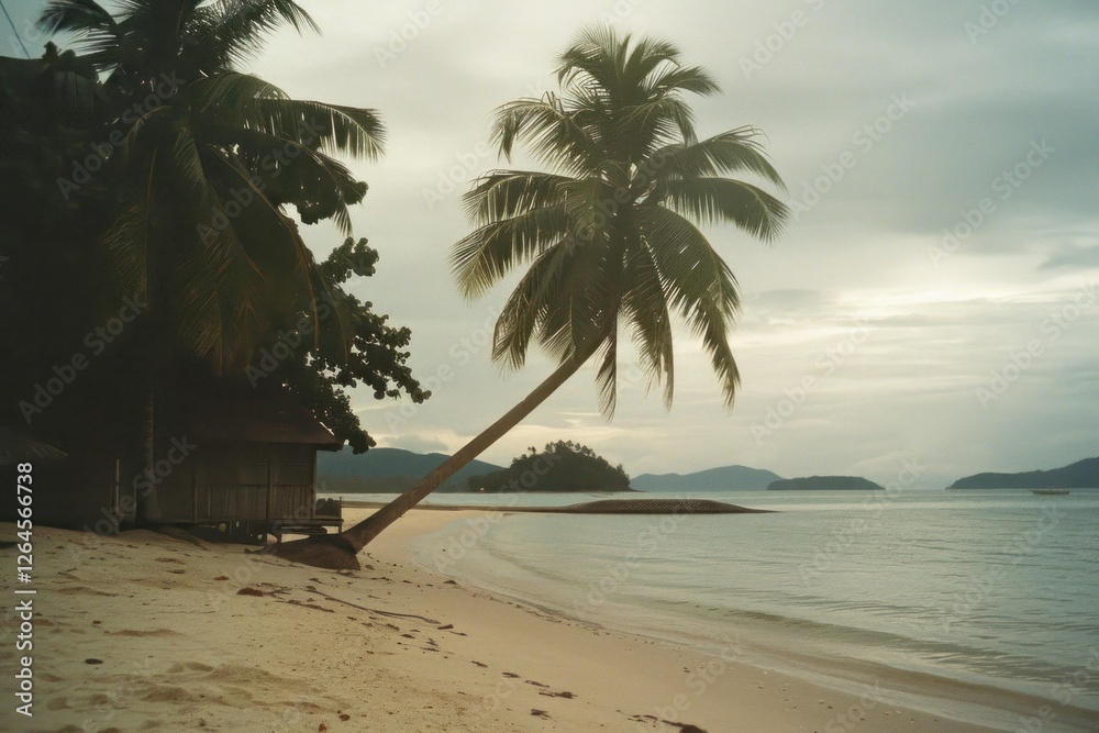 Obraz premium Coconut tree beach architecture landscape.