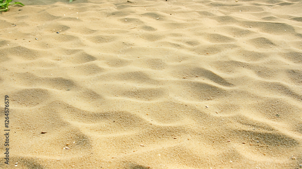 Serene Beach Sands Ripples Texture Detailed Seascape Pattern Natural Terrain Seaside Shoreline Serene Beach Sands Ripples Texture Detailed Seascape Pattern Natural Terrain Seaside Shoreline