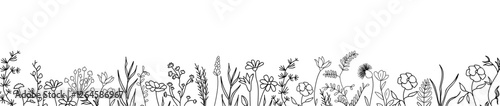 Wild blooming meadow flowers and herbs border. Horizontal banner, floral overlay backdrop. Botanical monochrome ink sketch style hand drawn vector illustration isolated on transparent background.