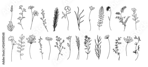 Set of tiny wild flowers and plants line art vector botanical illustrations. Trendy greenery hand drawn black ink sketches collection. Modern design for logo, tattoo, wall art, branding and packaging.