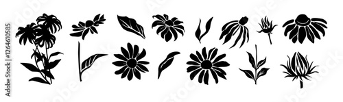 Set of Black eyed Susan, Rudbeckia flower and leaves silhouettes. Hand drawn floral design elements, icons, shapes. Black and white outline illustrations isolated on transparent background.