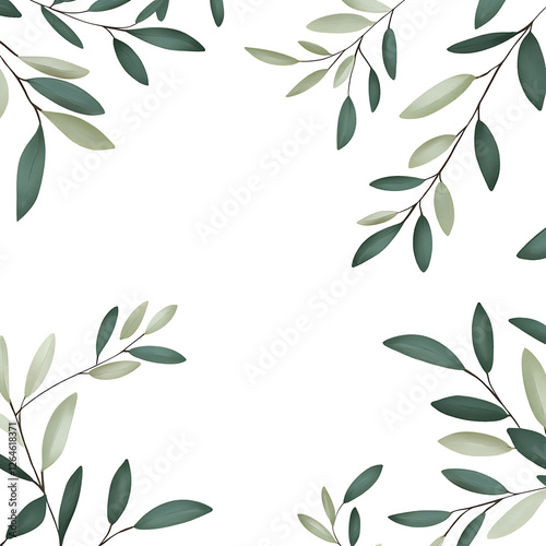 flowers and leaves in pictures illustrator2D