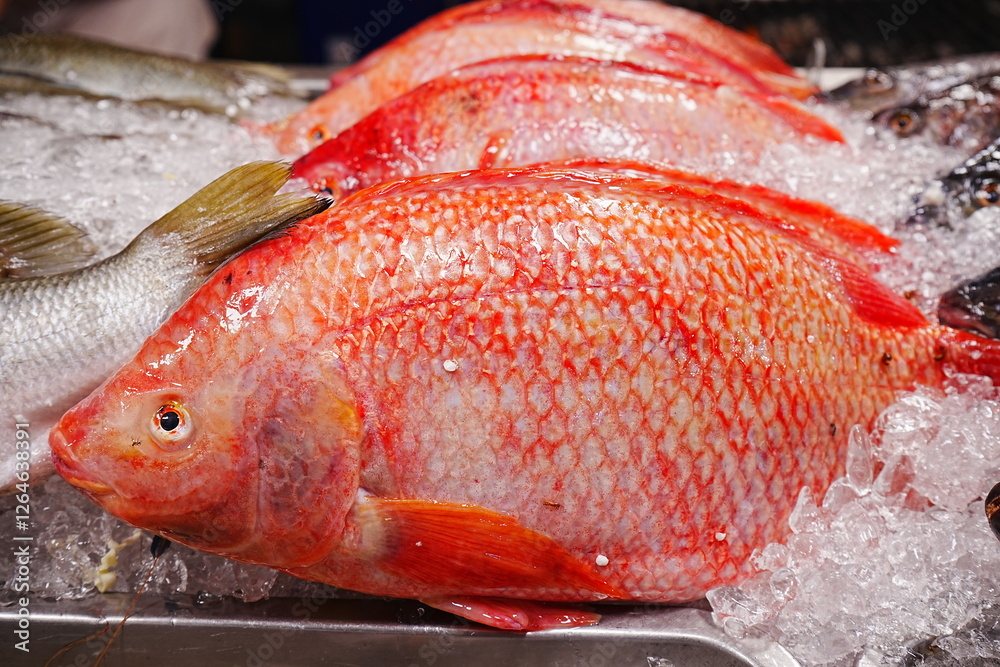 Fish market in Bangkok, Thailand - タイ バンコク 魚市場