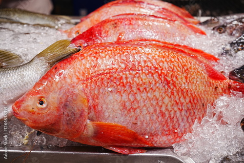 Obraz na płótnie Fish market in Bangkok, Thailand - タイ バンコク 魚市場 w salonie