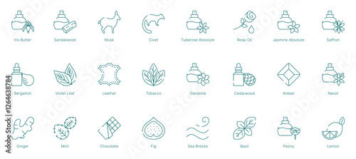 Floral and Woody Fragrance Notes Vector Icon Set