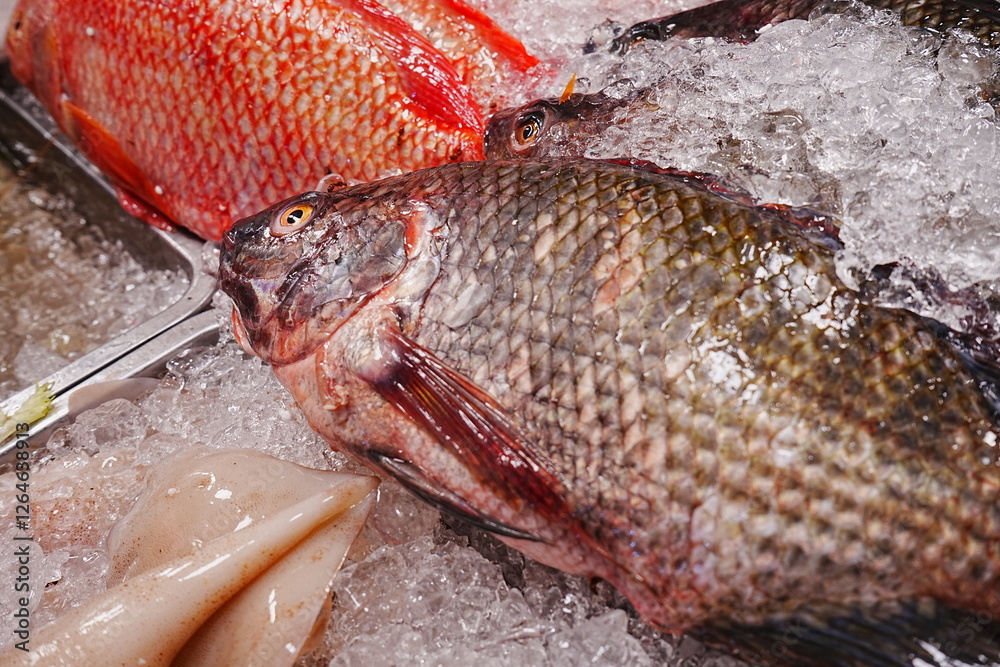 Fish market in Bangkok, Thailand - タイ バンコク 魚市場