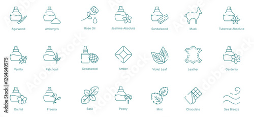 Complex and Aromatic Fragrance Notes Vector Icon Set