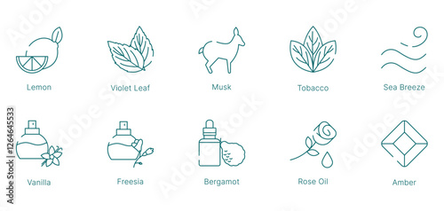 Fresh and Floral Fragrance Notes Vector Icon Set