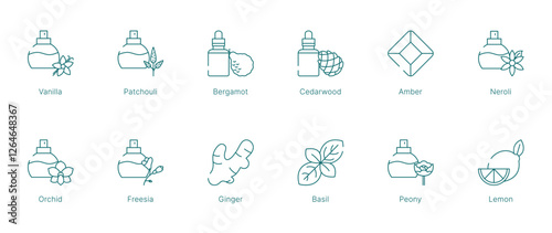 Warm and Floral Fragrance Notes Vector Icon Set