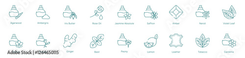 Ultimate Fragrance Notes Collection Vector Icon Set