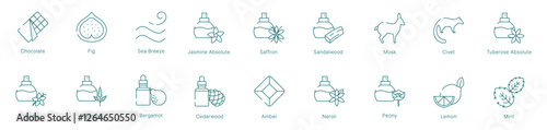 Gourmand and Aromatic Fragrance Notes Vector Icon Set
