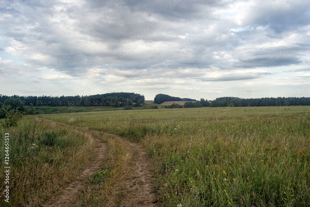 Dirt road in the countryside on a cloudy day Dirt road in the countryside on a cloudy day