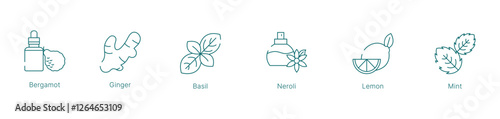 Fresh and Zesty Fragrance Notes Vector Icon Set