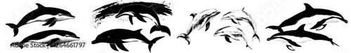 A contemporary assortment of manually illustrated sea creatures and ocean animals is presented in a sketchy style against a white backdrop