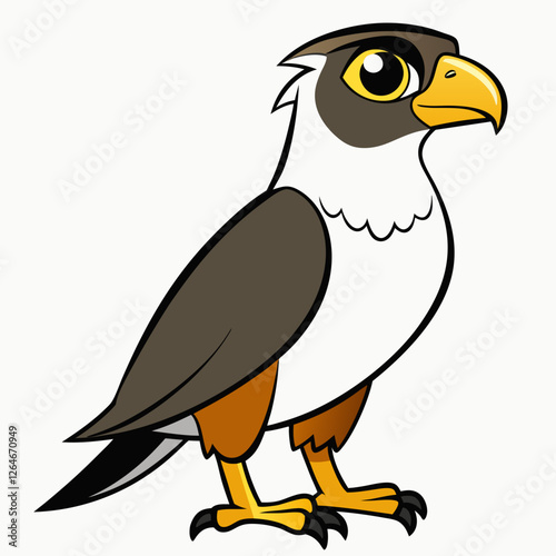 bird of prey