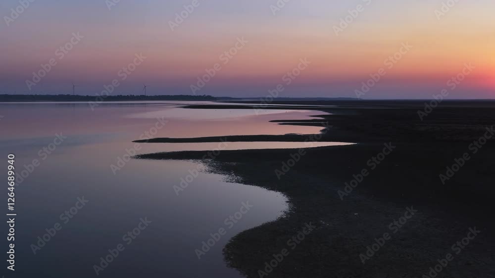 A flock of migratory birds, sunset, egrets A flock of migratory birds, sunset, egrets