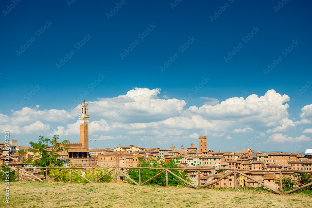 Obraz premium Siena, Italy. View over the old city center 