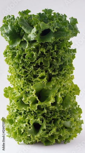 Freshly stacked variety of lettuce showcasing vibrant colors and textures in ...