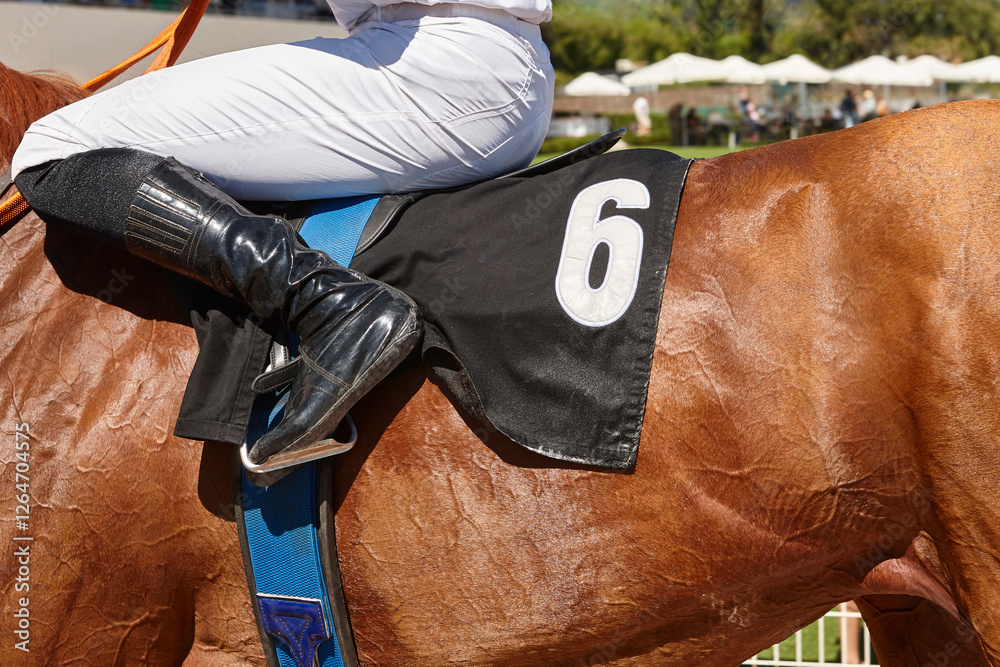 Race horse with jockey detail. Purebred in the hippodrome. Turf