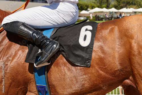 Obraz na płótnie Race horse with jockey detail. Purebred in the hippodrome. Turf w salonie