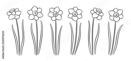 Black and white hand-drawn daffodils