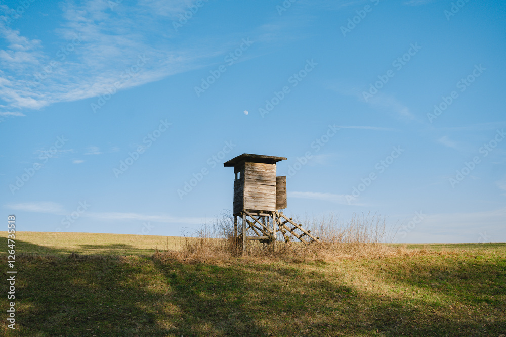 A hunting tower is a large, tall structure in the form of a lodge on poles in a field against a background of blue sky . High quality photo A hunting tower is a large, tall structure in the form of a lodge on poles in a field against a background of blue sky . High quality photo