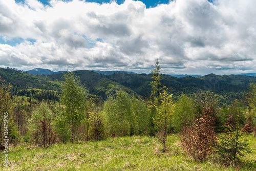 Hilly landscape of Kysuce region in Slovakia - view from hiking trail betwwen sedlo Korchan and Hladky vrch in Kysucka vrchovina mountains photo